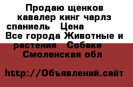Продаю щенков кавалер кинг чарлз спаниель › Цена ­ 40 000 - Все города Животные и растения » Собаки   . Смоленская обл.